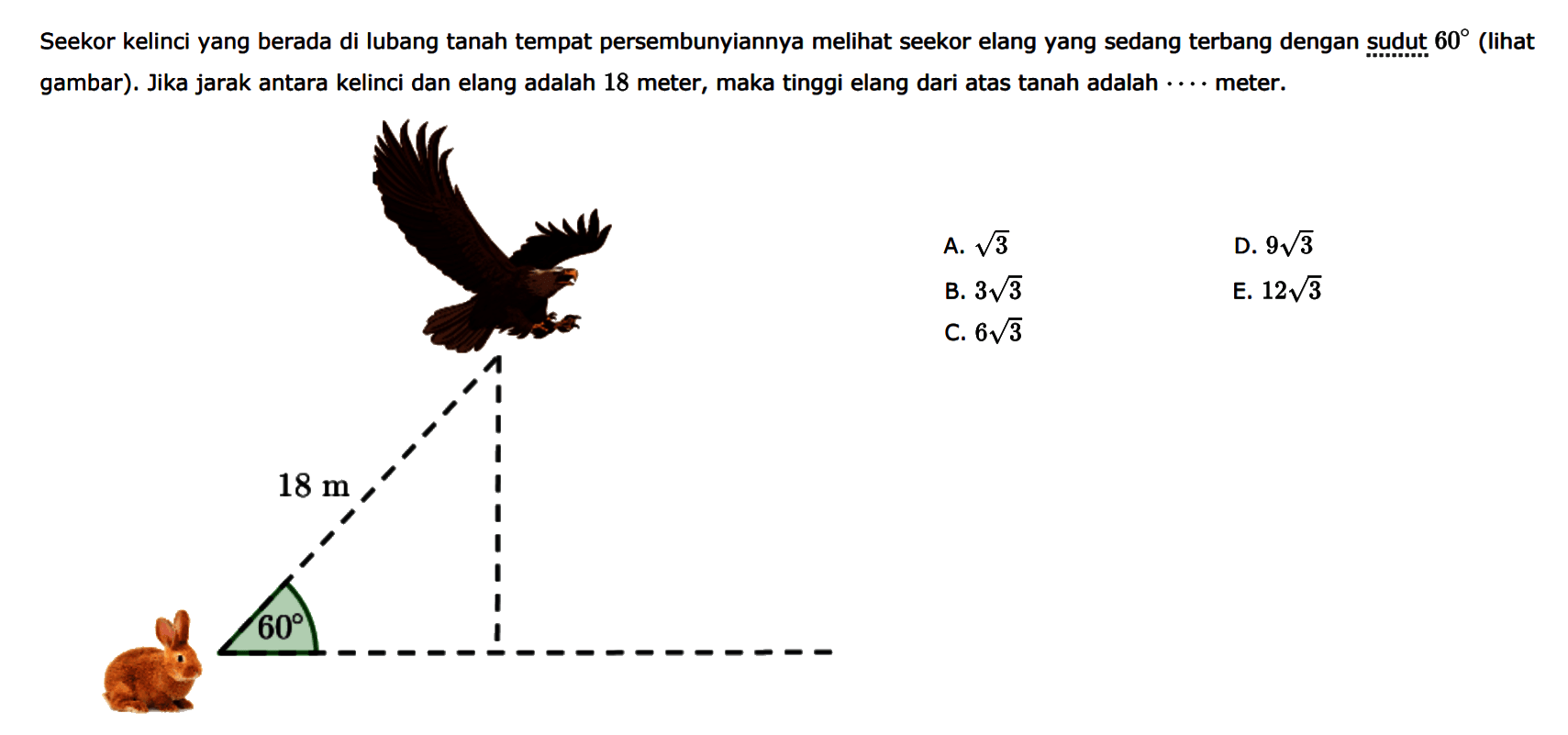 Seekor kelinci yang berada di lubang tanah tempat persembunyiannya melihat seekor elang yang sedang terbang dengan sudut 60 (lihat gambar). Jika jarak antara kelinci dan elang adalah 18 meter, maka tinggi elang dari atas tanah adalah ... meter