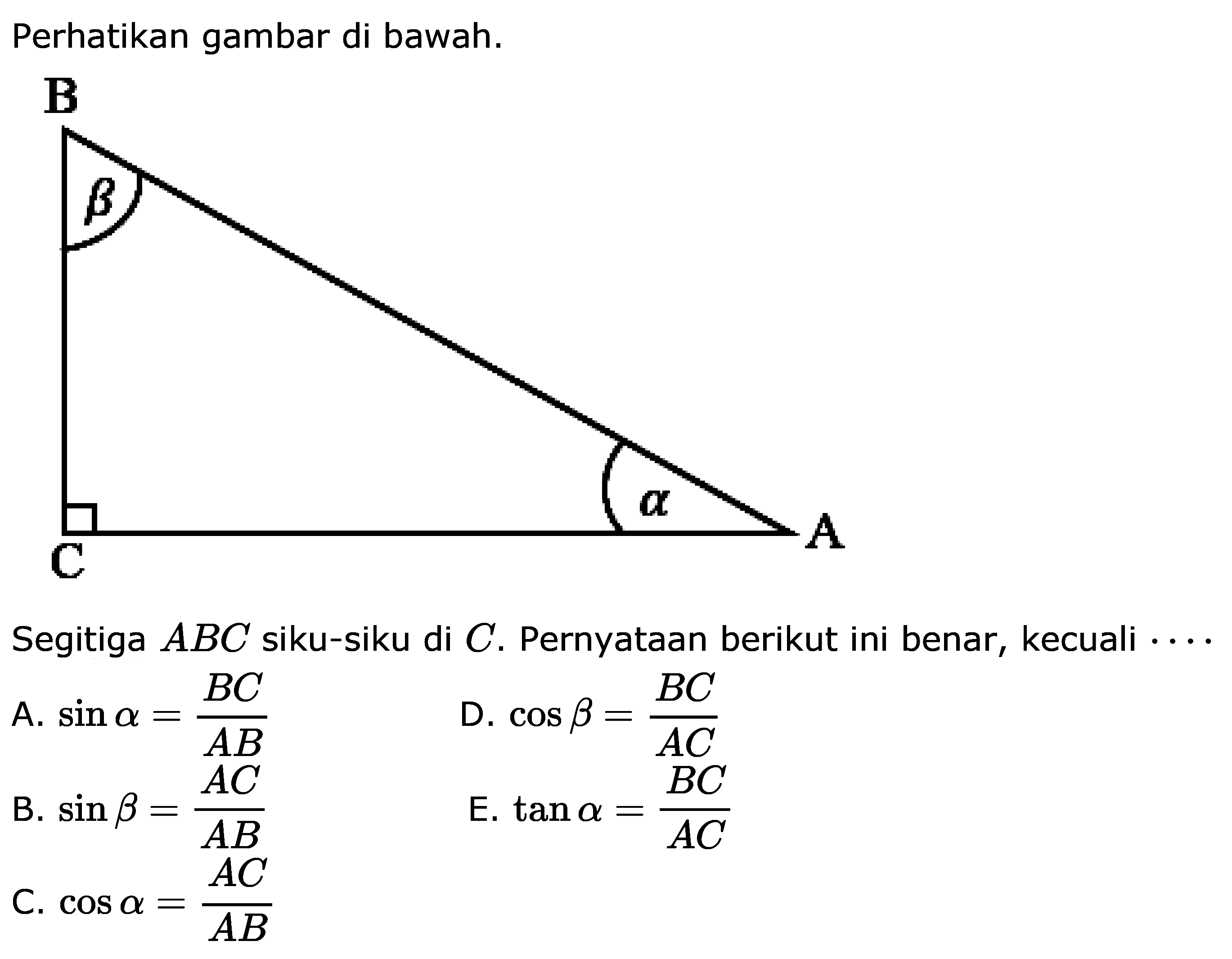 Perhatikan gambar di bawah: B A C betha alpha Segitiga ABC siku-siku di C. Pernyataan berikut ini benar, kecuali.... A. sin alpha=BC/AB D. cos betha=BC/AC B. sin betha=AC/AB E. tan alpha=BC/AC C. cos alpha=AC/AB