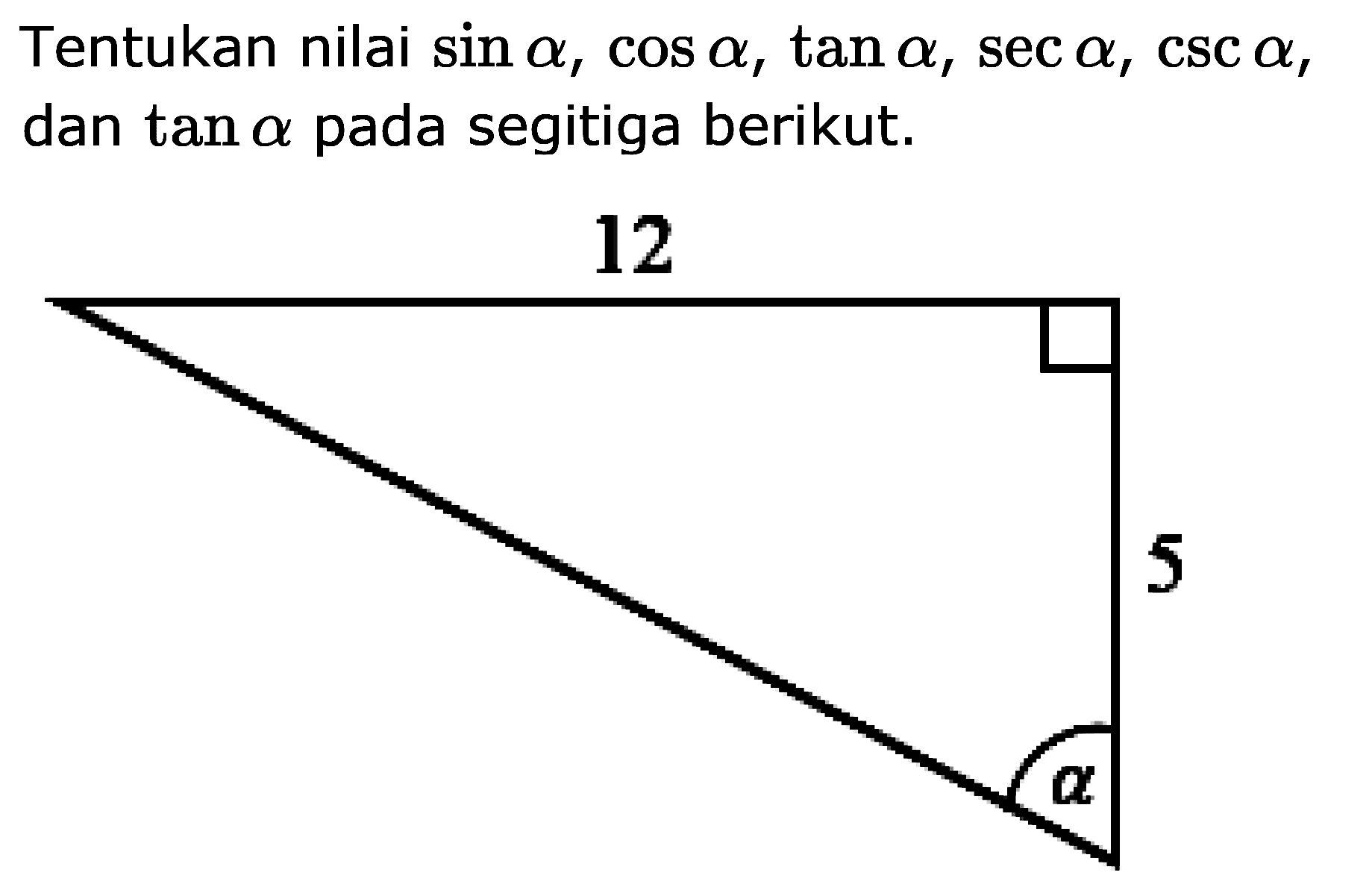 Tentukan nilai sin alpha, cos alpha, tan alpha, sec alpha, csc alpha, dan tan alpha pada segitiga berikut.