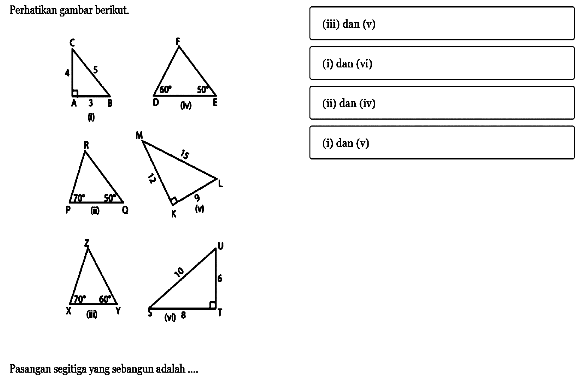 Perhatikan gambar berikut.Pasangan segitiga yang sebangun adalah.... (iii) dan (v)(i) dan(vi) (ii) dan (iv) (i) dan(v) 