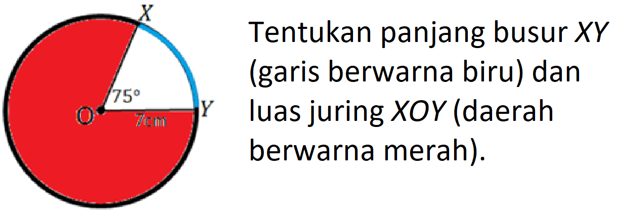 Tentukan panjang busur XY (garis berwarna biru) dan luas juring XOY (daerah berwarna merah).
X Y 75 7 cm O