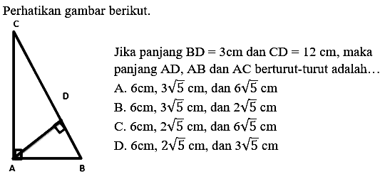 Perhatikan gambar berikut. C D A B Jika panjang BD = 3 cm dan CD = 12 cm, maka panjang AD, AB dan AC berturut-turut adalah 
A. 6 cm, 3 akar(5) cm, dan 6 akar(5) cm 
B. 6 cm, 3 akar(5) cm, dan 2 akar(5) cm 
C. 6 cm, 2 akar(5) cm, dan 6 akar(5) cm 
D. 6 cm, 2 akar(5) cm, dan 3 akar(5) cm 