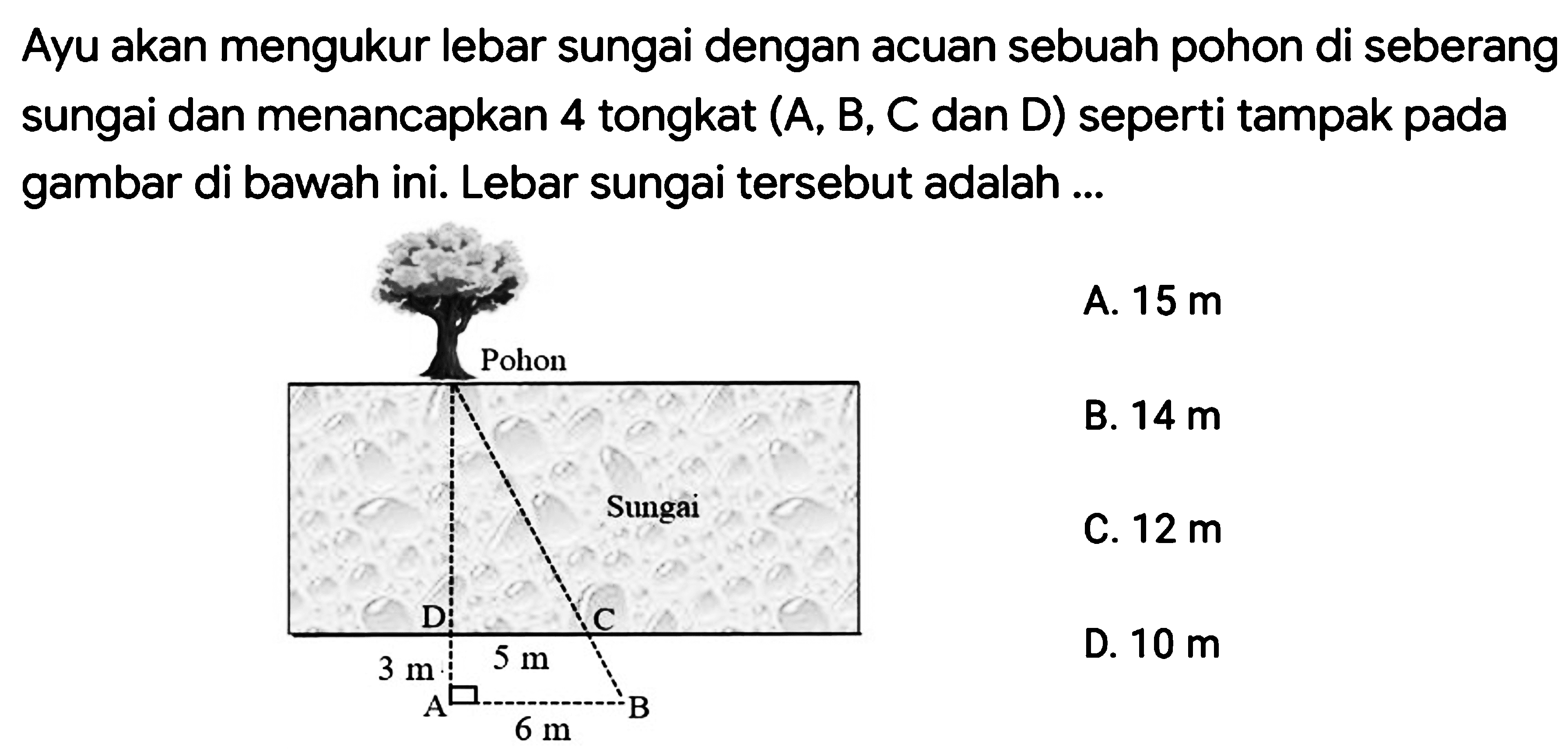 Ayu akan mengukur lebar sungai dengan acuan sebuah pohon di seberang sungai dan menancapkan 4 tongkat (A, B, C dan D) seperti tampak pada gambar di bawah ini. Lebar sungai tersebut adalah 
Pohon Sungai D C 5 m 3 m A B 6 m 
A. 15 m 
B. 14 m 
C. 12 m 
D. 10 m 