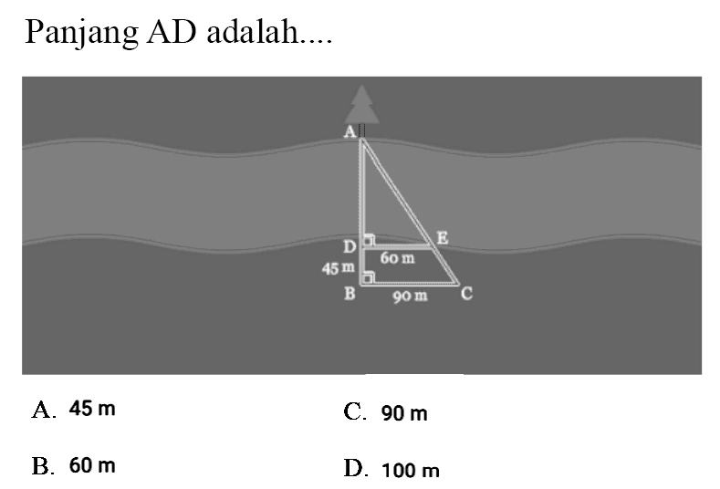 A B C D E 45 m 60 m 90 m 
Panjang AD adalah....
 