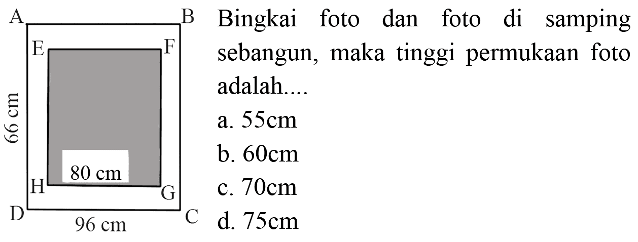 Bingkai foto dan foto di samping sebangun, maka tinggi permukaan foto adalah .... 
A B E F 66 cm 80 cm H G D 96 cm C