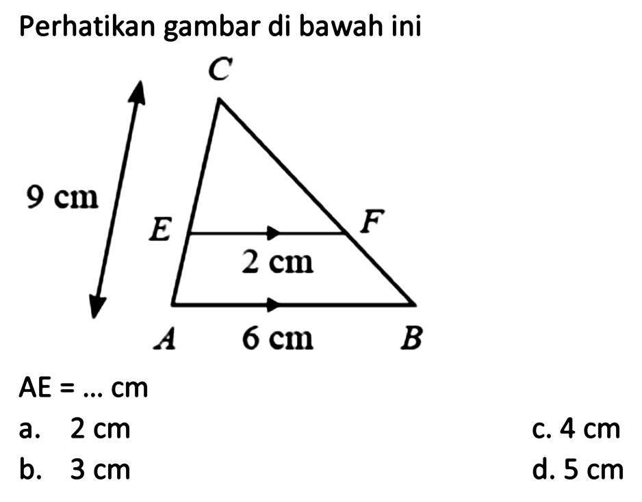 Perhatikan gambar di bawah ini 
C 9 cm E F 2 cm 6 cm A B 
AE = ... cm 
a. 2 cm c. 4 cm b. 3 cm d. 5 cm