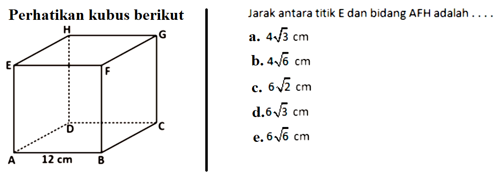 Perhatikan kubus berikut Jarak antara titik E dan bidang AFH adalah . . . .