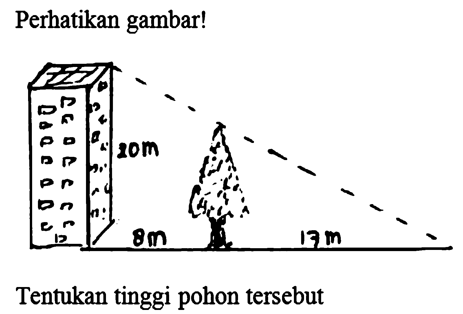 Perhatikan gambar! 
20 m 8 m 17 m 
Tentukan tinggi pohon tersebut