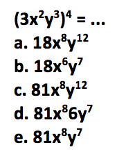 (3x^2y^3)^4