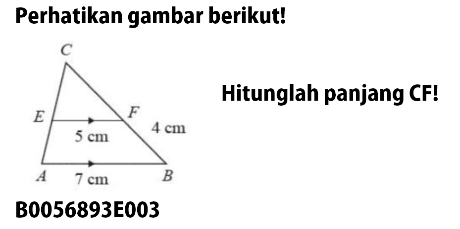 Perhatikan gambar berikut! Hitunglah panjang CF! EF=5 cm AB=7 cm FB=4 cmB0056893E003