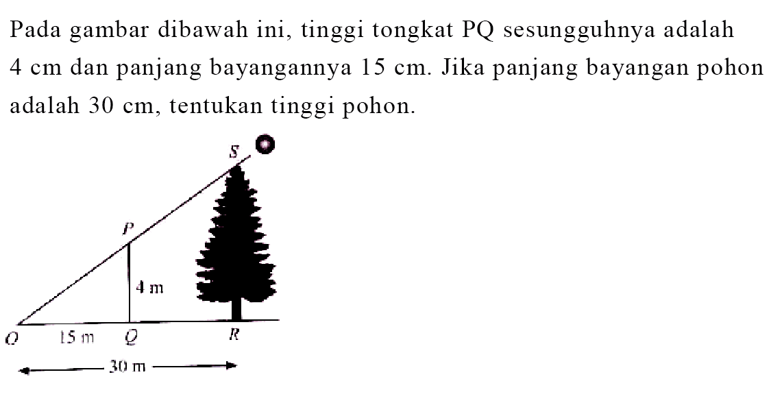 Pada gambar dibawah ini, tinggi tongkat PQ sesungguhnya adalah 4 cm dan panjang bayangannya 15 cm. Jika panjang bayangan pohon adalah 30 cm, tentukan tinggi pohon.