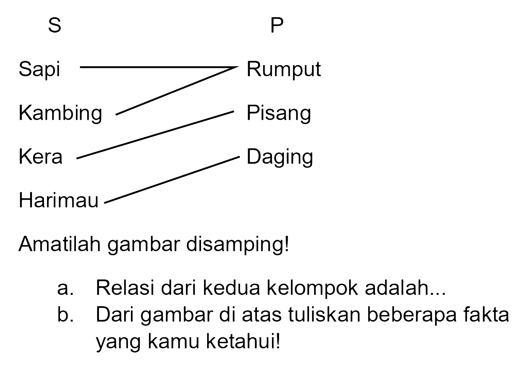 S P 
Sapi Rumput 
Kambing Pisang 
Kera Daging 
Harimau 
Amatilah gambar disamping!
a. Relasi dari kedua kelompok adalah...
b. Dari gambar di atas tuliskan beberapa fakta yang kamu ketahui!