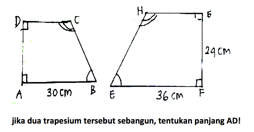 jika dua trapesium tersebut sebangun, tentukan panjang AD! C D A 30 cm B G H 24 cm E 36 cm F