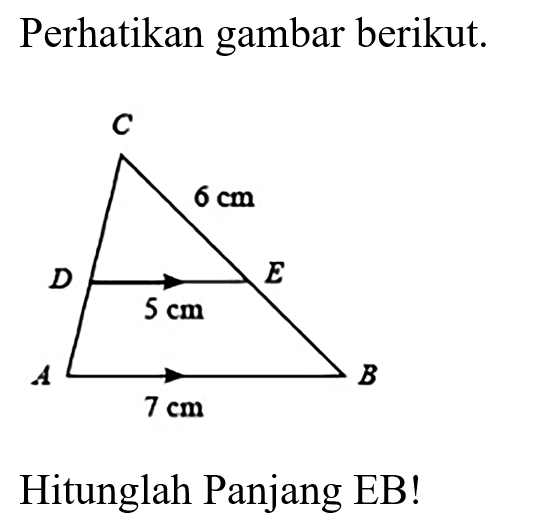 Perhatikan gambar berikut.C 6 cm D 5 cm E A 7 cm B Hitunglah Panjang EB! 