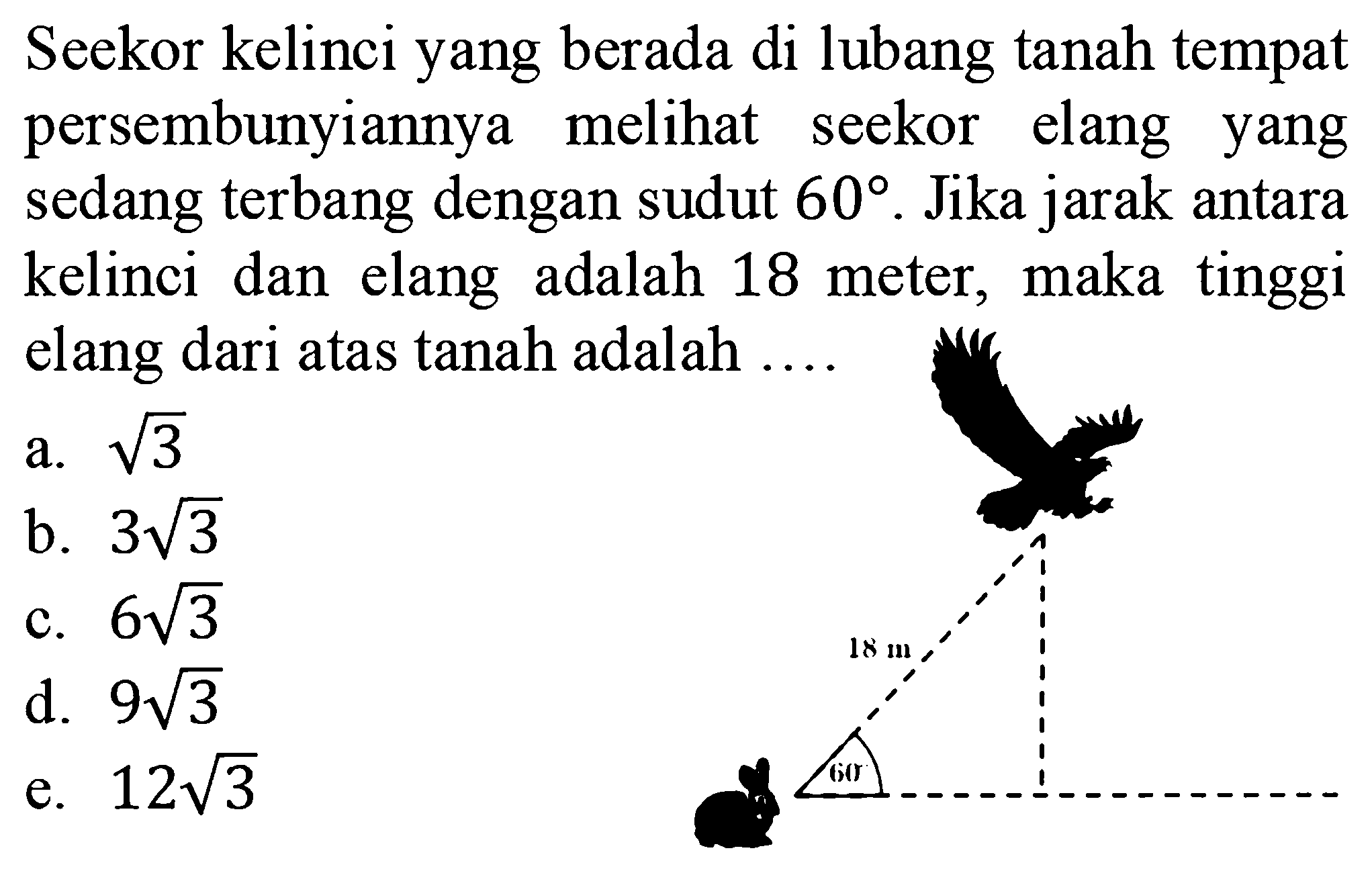 Seekor kelinci yang berada di lubang tanah tempat persembunyiannya melihat elang seekor yang sedang terbang dengan sudut 60. Jika jarak antara kelinci dan elang adalah 18 meter, maka tinggi elang dari atas tanah adalah ...18 m 60