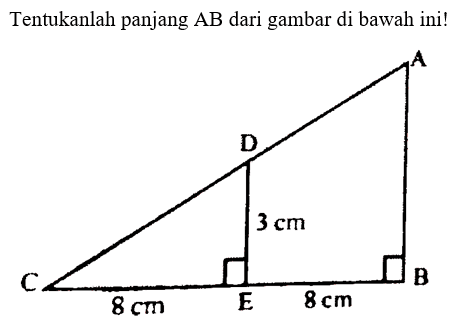 Tentukanlah panjang  AB  dari gambar di bawah ini! A B C D 8 cm 8 cm 3 cm