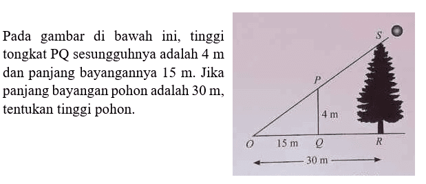 Pada gambar di bawah ini, tinggi tongkat PQ sesungguhnya adalah 4 m dan panjang bayangannya 15 m. Jika panjang bayangan pohon adalah 30 m, tentukan tinggi pohon.