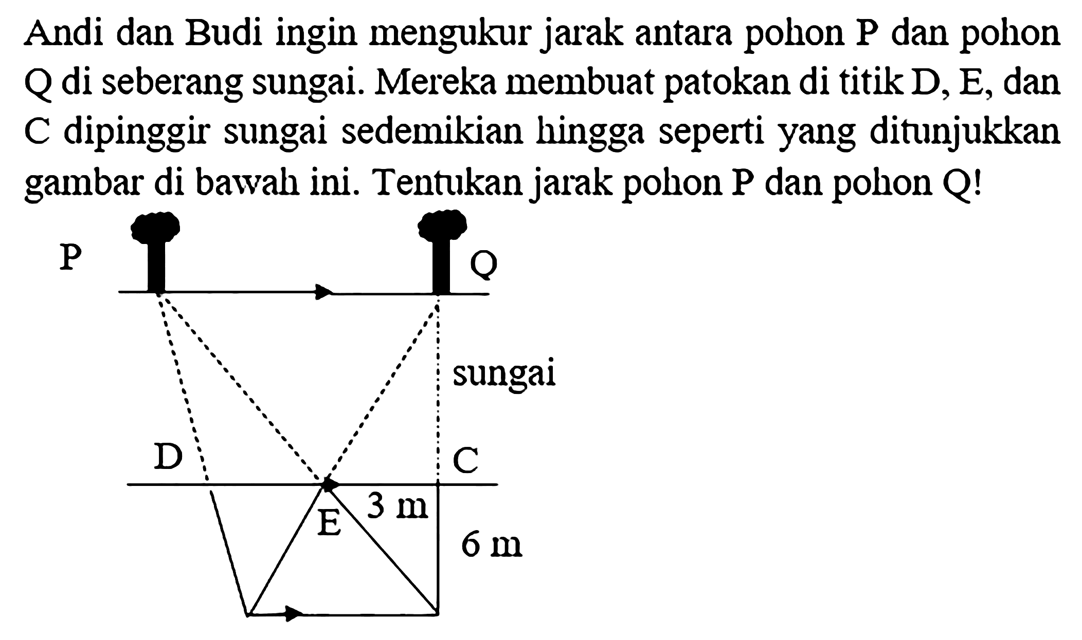 Andi dan Budi ingin mengukur jarak antara pohon  kg dan pohon Q di seberang sungai. Mereka membuat patokan di titik D, E, dan C dipinggir sungai sedemikian hingga seperti yang ditunjukkan gambar di bawah ini. Tentukan jarak pohon P dan pohon Q! PQCED sungai 6 m 3 m 