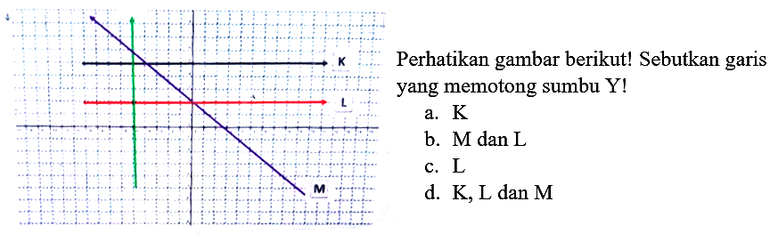 Perhatikan gambar berikut! Sebutkan garis yang memotong sumbu Y!
a.  K 
b.  M dan L 
c.  L 
d.  K, L  dan  M 