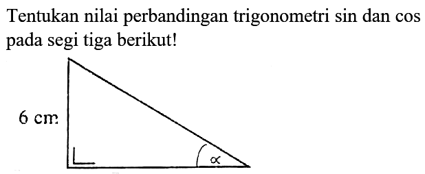 Tentukan nilai perbandingan trigonometri sin dan cos pada segi tiga berikut!
6 cm
alpha