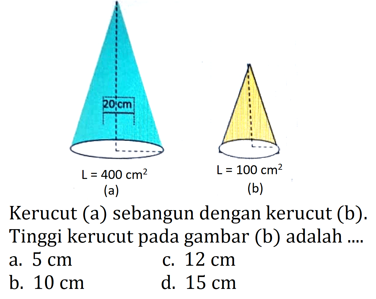 L=400 cm^2
(a)
L=100 cm^2
(b)
Kerucut (a) sebangun dengan kerucut (b). Tinggi kerucut pada gambar (b) adalah ....
a.  5 cm 
c.  12 cm 
b.  10 cm 
d.  15 cm 