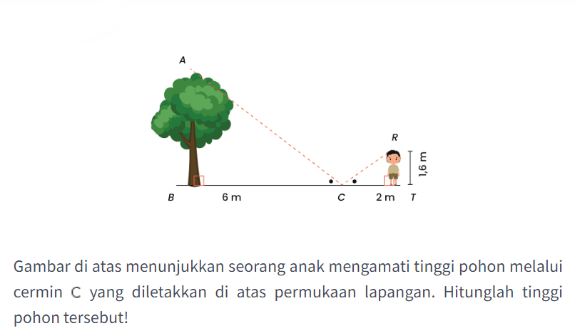 Gambar di atas menunjukkan seorang anak mengamati tinggi pohon melalui cermin C yang diletakkan di atas permukaan lapangan. Hitunglah tinggi pohon tersebut!