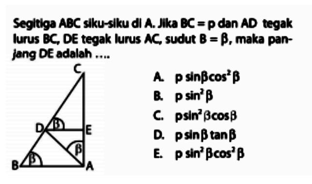 Segitiga ABC siku-siku di A. Jika BC=p dan AD tegak lurus BC, DE tegak lurus AC, sudut B=beta, Maka panjang DE adalah ....