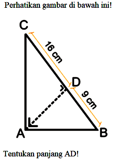 Perhatikan gambar di bawah ini! Tentukan panjang AD!  Segitiga CAB D 16 cm 9 cm