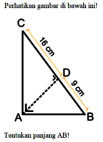 Perhatikan gambar di bawah ini! Tentukan panjang B! 16 cm 9 cm