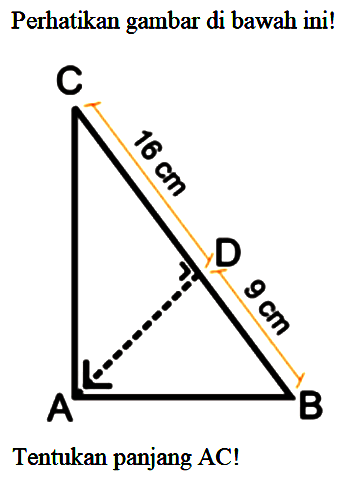 Perhatikan gambar di bawah ini! C 16 cm D 9 cm A B Tentukan panjang AC! 