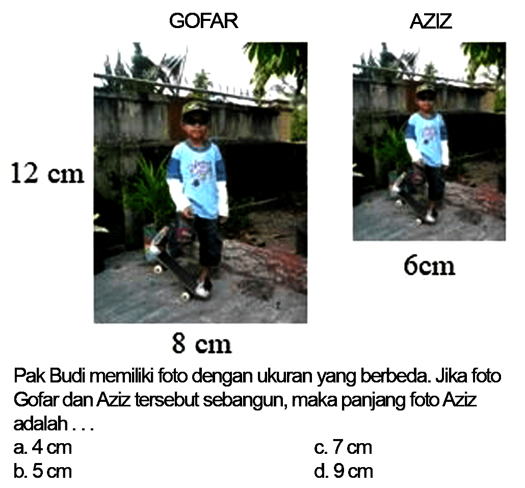 GOFAR 12 cm 8 cm AZIZ 6 cm Pak Budi memiliki foto dengan ukuran yang berbeda. Jika foto Gofar dan Aziz tersebut sebangun, maka panjang foto Aziz adalah... 