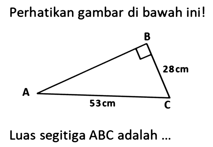 Perhatikan gambar di bawah ini!28 cm 53 cm Luas segitiga ABC adalah ...