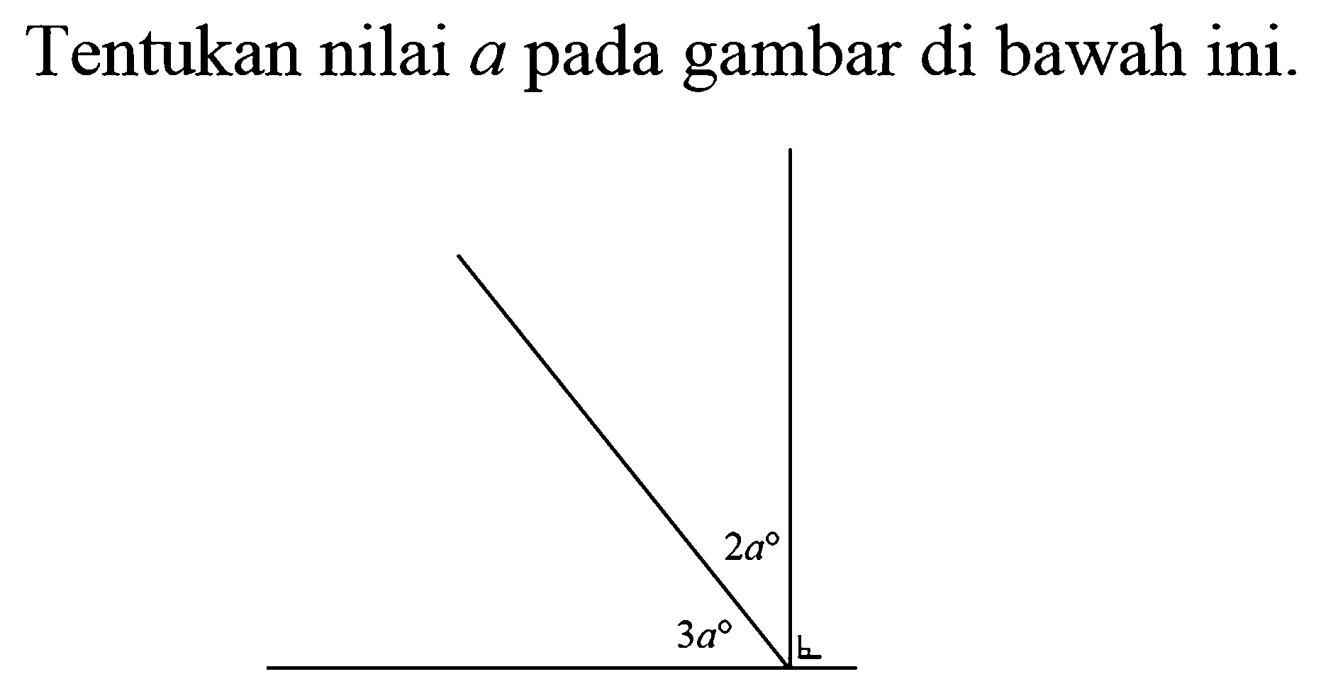 Tentukan nilai a pada gambar di bawah ini. 2a 3a 