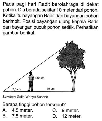 Pada pagi hari Radit berolahraga di dekat pohon. Dia berada sekitar 10 meter dari pohon. Ketika itu bayangan Radit dan bayangan pohon berimpit. Posisi bayangan ujung kepala Radit dan bayangan pucuk pohon setitik. Perhatikan gambar berikut.Sumber: Galih Wahyu SusenoBerapa tinggi pohon tersebut?