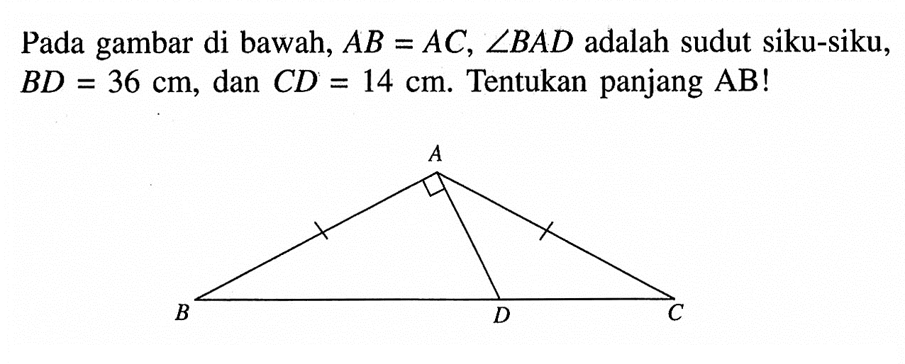 Pada gambar di bawah, AB = AC, sudut BAD adalah sudut siku-siku, BD = 36 cm, dan CD = 14 cm. Tentukan panjang  AB!A B D C 