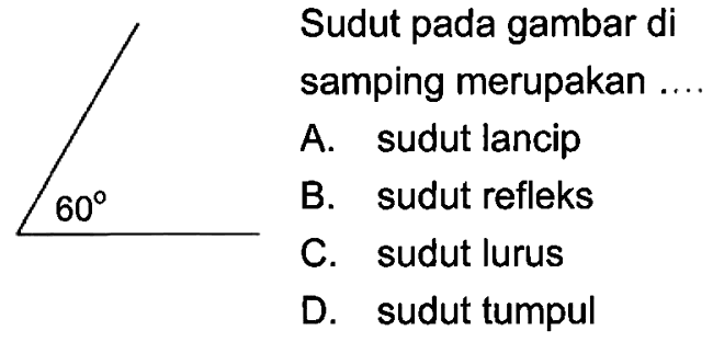 sudut pada gambar di samping merupakan...A. sudut lancipB. sudut refleksC. sudut lurusD. sudut tumpul