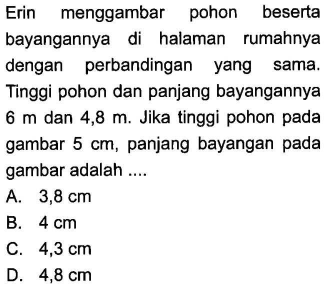 Erin menggambar pohon beserta bayangannya di halaman rumahnya dengan perbandingan yang sama. Tinggi pohon dan panjang bayangannya 6 m dan 4,8 m. Jika tinggi pohon pada gambar 5 cm, panjang bayangan pada gambar adalah ....