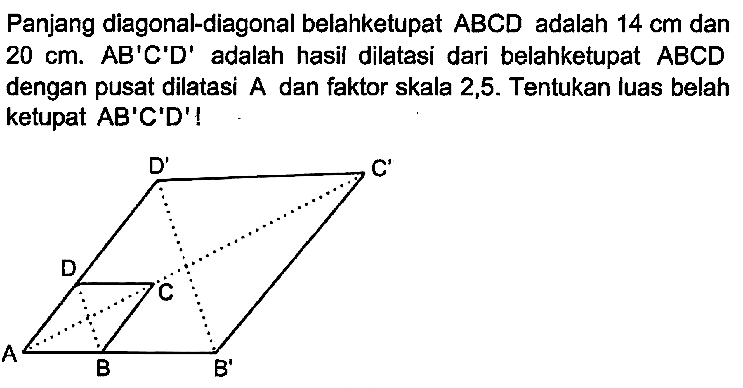 Panjang diagonal-diagonal belahketupat ABCD adalah 14 cm dan 20 cm. AB'C'D' adalah hasil dilatasi dari belahketupat ABCD dengan pusat dilatasi A dan faktor skala 2,5. Tentukan luas belah ketupat AB'C'D' ! D' C' D C A B B'