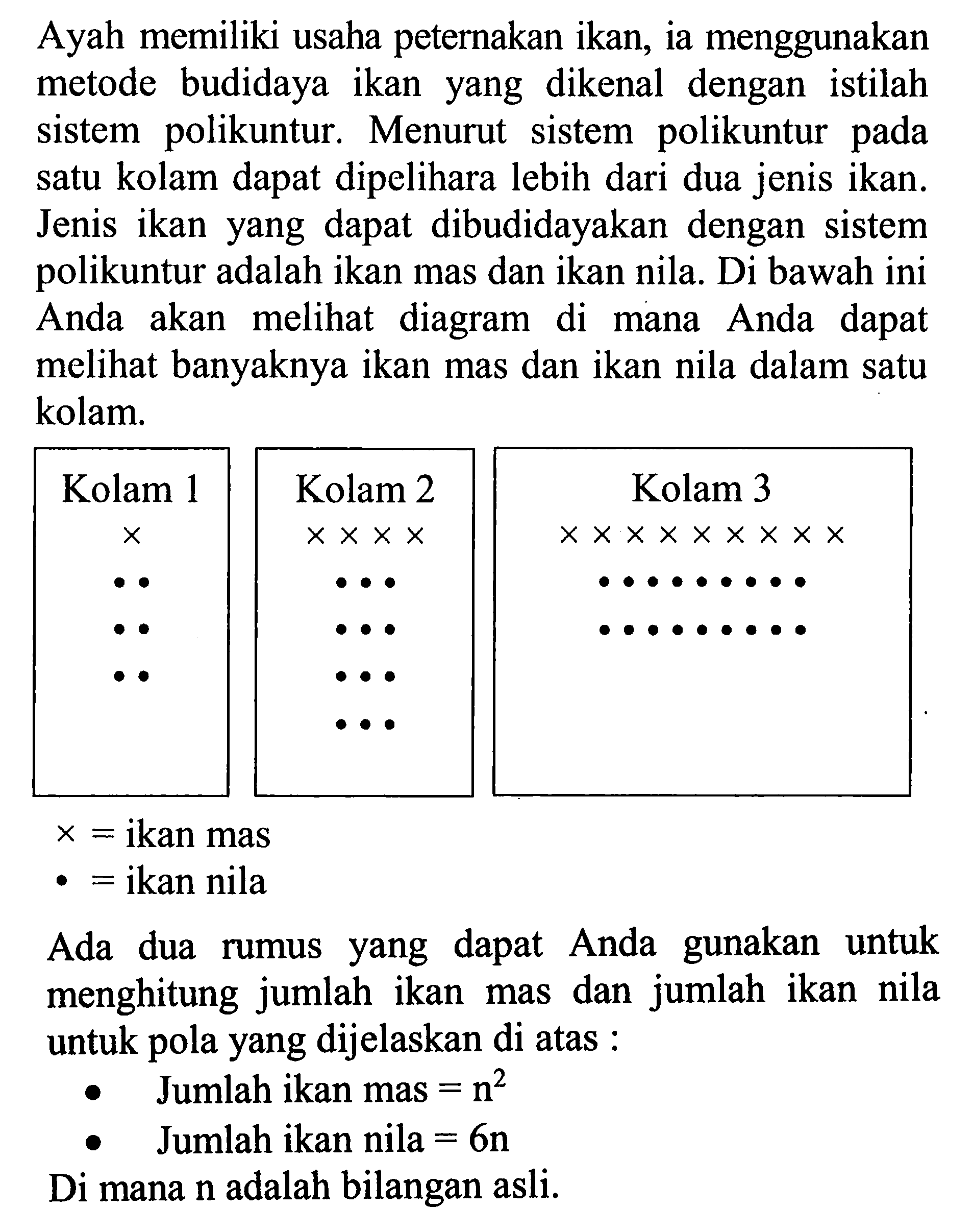 Ayah memiliki usaha peternakan ikan, ia menggunakan metode budidaya ikan yang dikenal dengan istilah sistem polikuntur. Menurut sistem polikuntur pada satu kolam dapat dipelihara lebih dari dua jenis ikan. Jenis ikan yang dapat dibudidayakan dengan  sistem polikuntur adalah ikan mas dan ikan nila. Di bawah ini Anda akan melihat diagram di mana Anda dapat melihat banyaknya ikan mas dan ikan nila dalam satu kola. Ada dua rumus yang yand dapat Anda gunakan untuk menghitung jumlah ikan mas dan ikan nila untuk pola yang dijelaskan di atas : Jumlah ikan mas = n^2 Jumlah ikan nila = 6n Di mana n adalah bilangan asli.