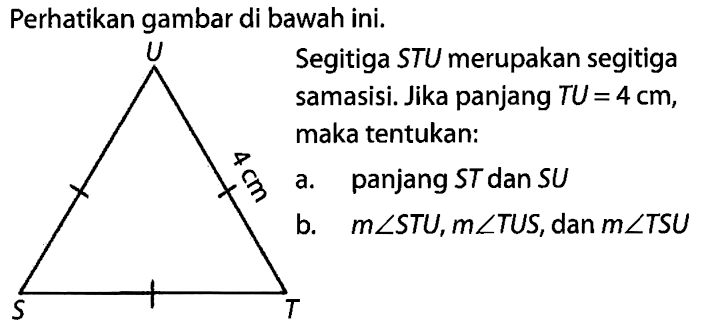 Perhatikan gambar di bawah ini. Segitiga STU merupakan segitigasamasisi. Jika panjang TU=4 cm, maka tentukan: a. panjang ST dan SU b. m sudut STU, m sudut TUS , dan m sudut TSU 