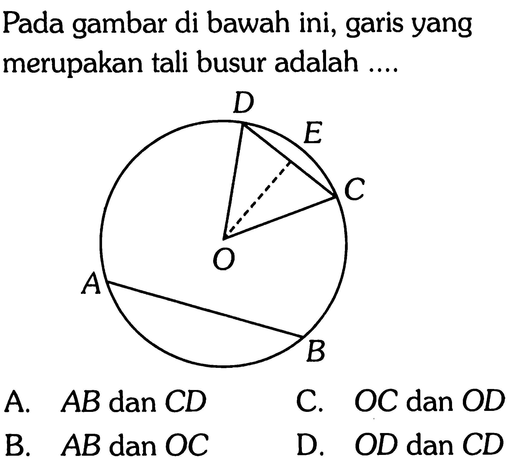 Pada gambar di bawah ini, garis yang merupakan tali busur adalah ....