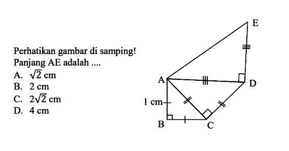 Perhatikan gambar di samping! Panjang AE adalah ....A. akar(2) cmB. 2 cmC. 2 akar(2) cmD. 4 cm