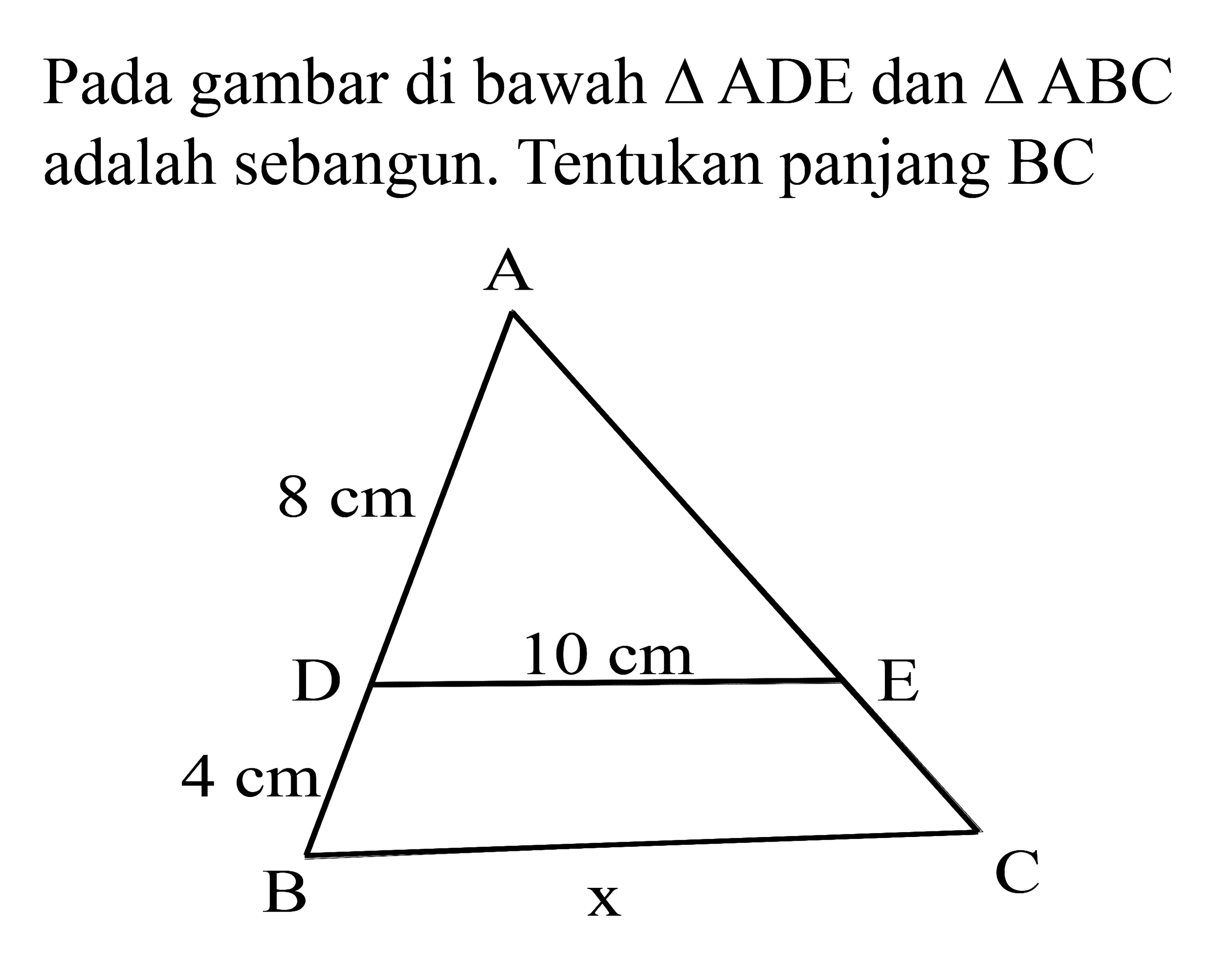 Pada gambar di bawah segitiga ADE dan segitiga ABC adalah sebangun. Tentukan panjang BC A 8 cm D 10 cm E 4 cm B x C