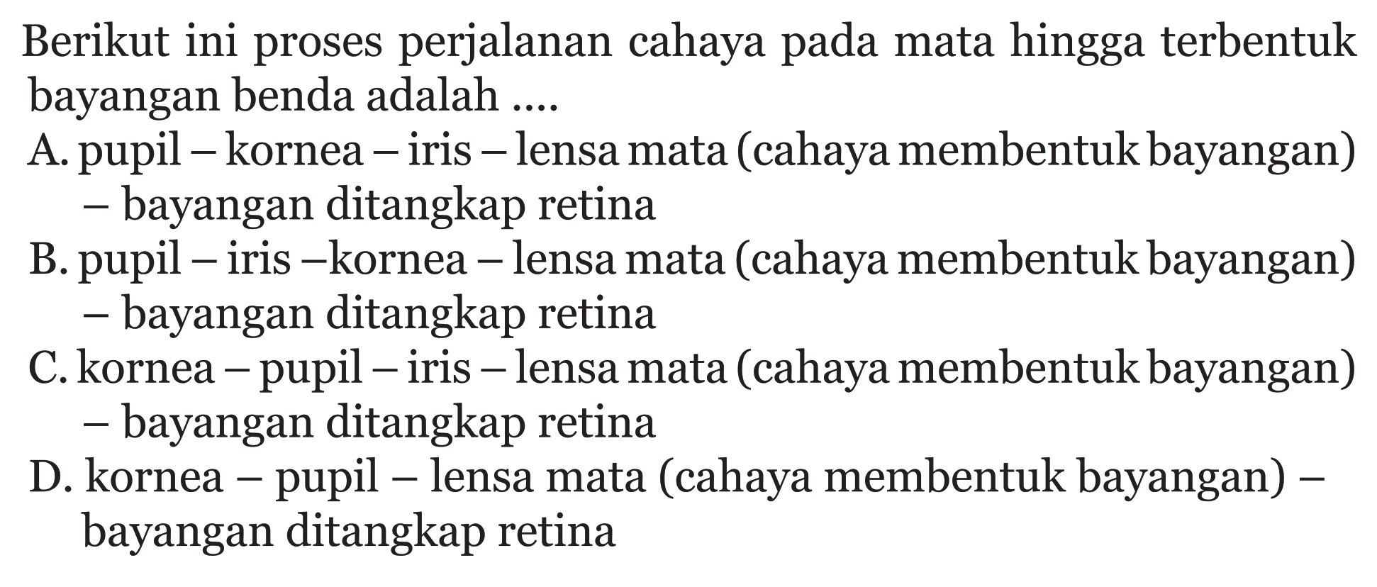 Berikut ini proses perjalanan cahaya pada mata hingga terbentuk bayangan benda adalah .... A. pupil - kornea - iris - lensa mata (cahaya membentuk bayangan) - bayangan ditangkap retina B. pupil - iris -kornea-lensa mata (cahaya membentuk bayangan) - bayangan ditangkap retina C. kornea - pupil - iris - lensa mata (cahaya membentuk bayangan) - bayangan ditangkap retina D. kornea - pupil - lensa mata (cahaya membentuk bayangan) bayangan ditangkap retina