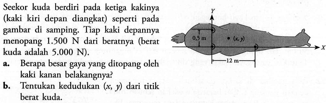 Seekor kuda berdiri pada ketiga kakinya (kaki kiri depan diangkat) seperti pada gambar di samping. Tiap kaki depannya menopang 1.500 N dari beratnya (berat kuda adalah 5.000 N). a. Berapa besar gaya yang ditopang oleh kaki kanan belakangnya? b. Tentukan kedudukan (x, y) dari titik berat kuda.