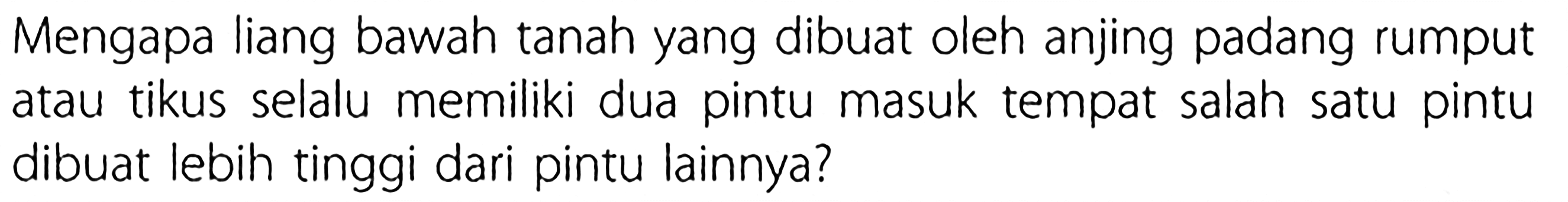 Mengapa liang bawah tanah yang dibuat oleh anjing padang rumput atau tikus selalu memiliki dua pintu masuk tempat salah satu pintu dibuat lebih tinggi dari pintu lainnya?