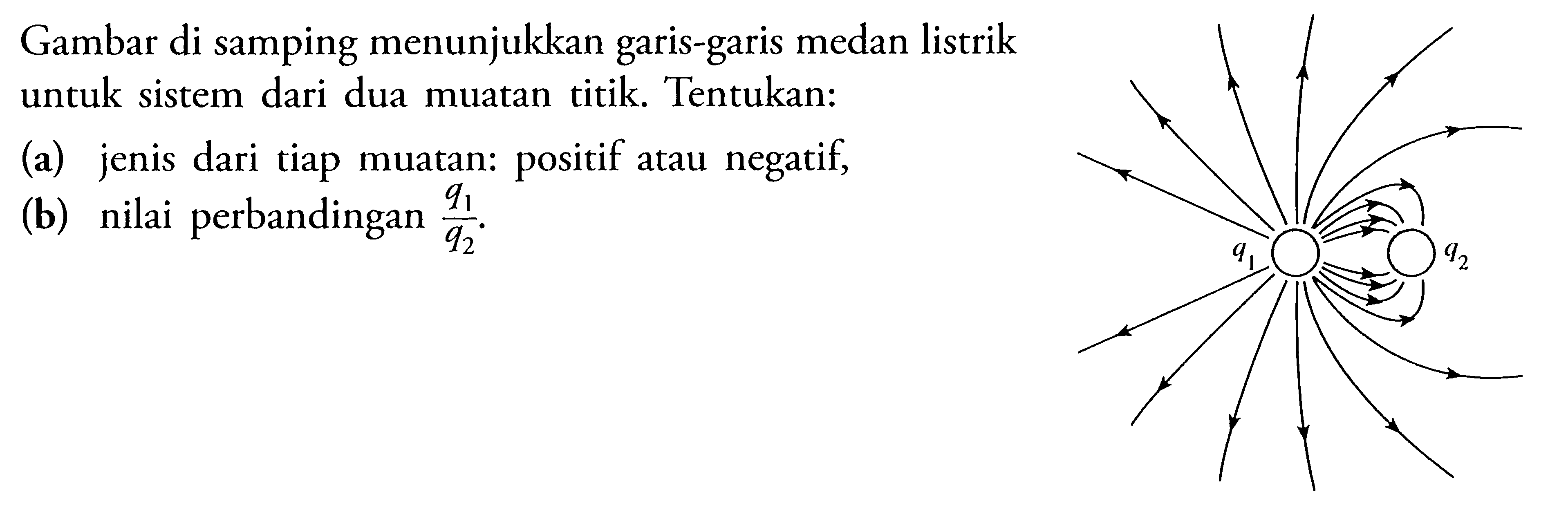 Gambar di samping menunjukkan garis-garis medan listrik untuk sistem dari dua muatan titik Tentukan. (a) jenis dari tiap muatan: positif atau negatif, (b) nilai perbandingan q1/a2