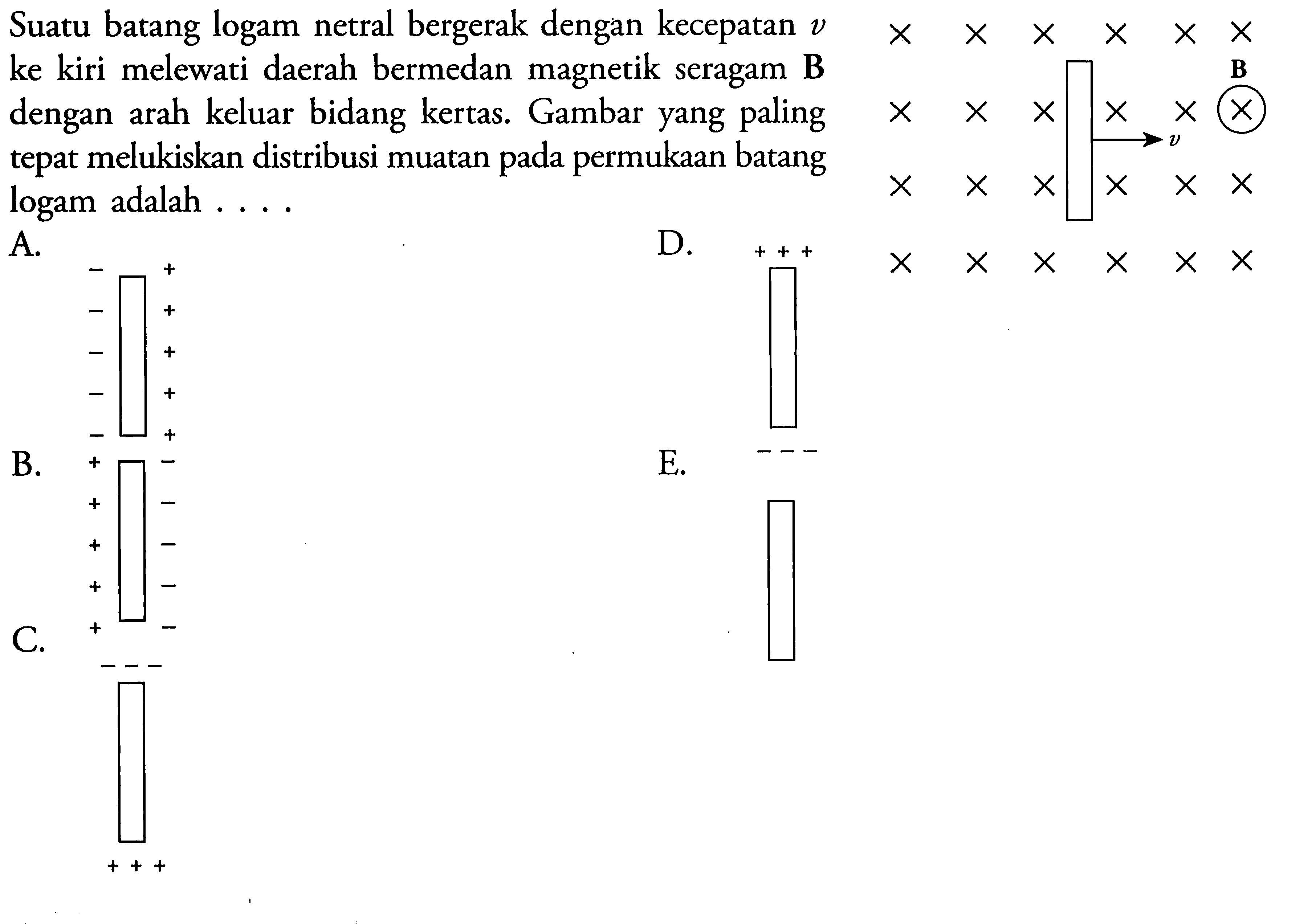 Suatu batang logam netral bergerak dengan kecepatan v ke kiri melewati daerah bermedan magnetik seragam B dengan arah keluar bidang kertas. Gambar yang paling tepat melukiskan distribusi muatan pada permukaan batang logam adalah...