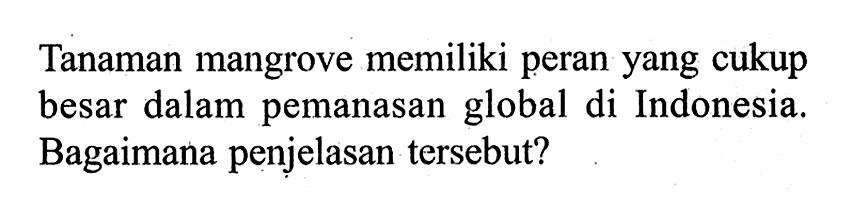 Tanaman mangrove memiliki peran yang cukup besar dalam pemanasan global di Indonesia. Bagaimana penjelasan tersebut?