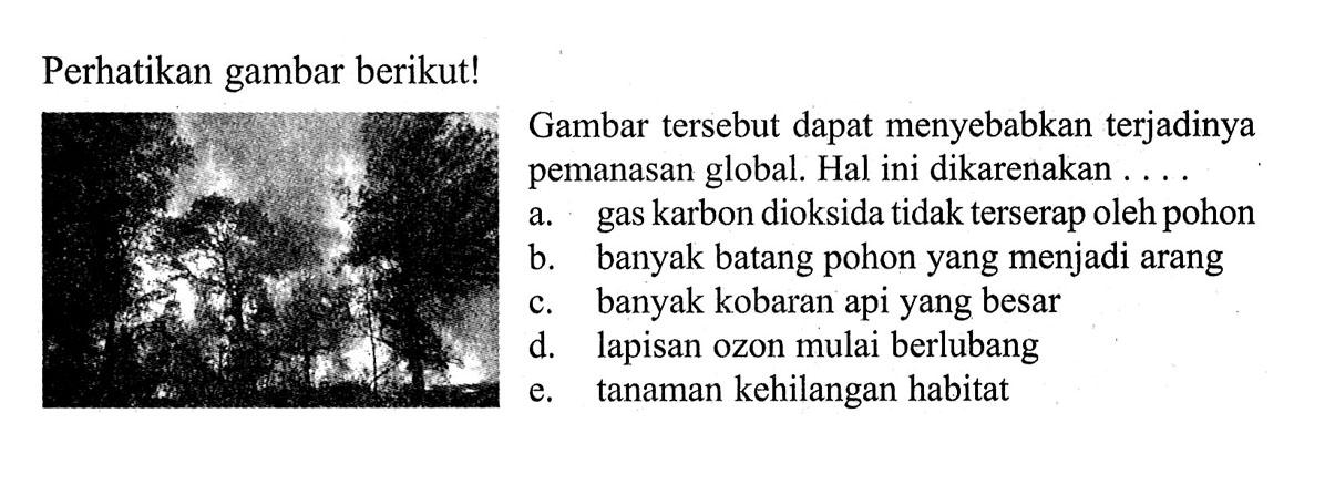 Perhatikan gambar berikut! Gambar tersebut dapat menyebabkan terjadinya pemanasan global. Hal ini dikarenakan .... a. gas karbon dioksida tidak terserap oleh pohon b. banyak batang pohon yang menjadi arangc. banyak kobaran api yang besard. lapisan ozon mulai berlubange. tanaman kehilangan habitat